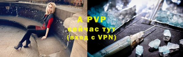 крисы Верея